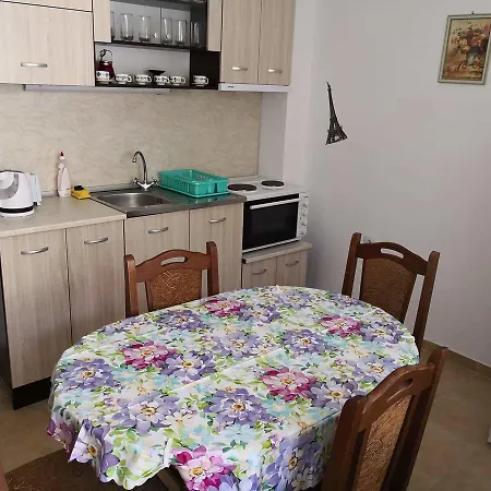 Flower Appartement Baltsjik