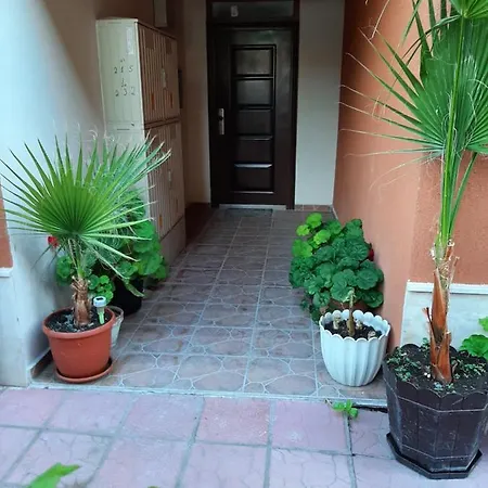 Appartement Flower *