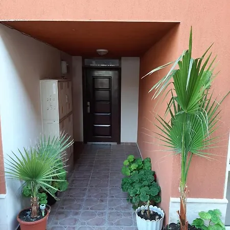 Flower Appartement Baltsjik